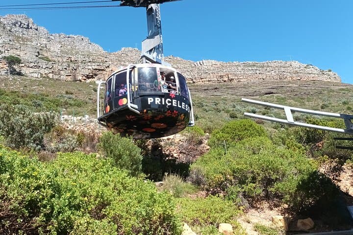 Robben Island and Table Mountain: Cape Town Full-Day History and Summit Experience
