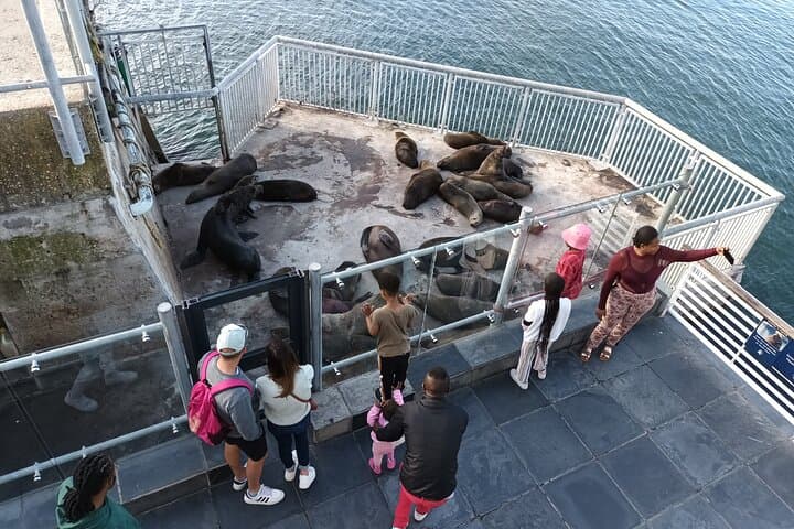 Robben Island and Table Mountain: Cape Town Full-Day History and Summit Experience photo 2
