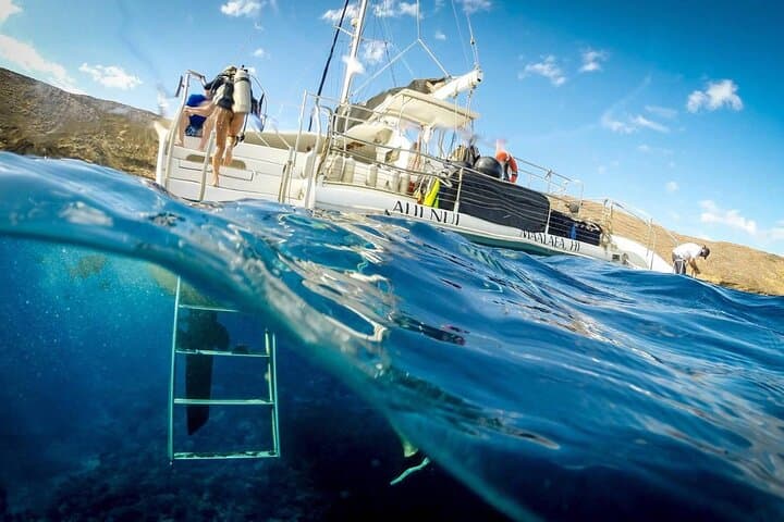 Turtles & Tacos: Maui Luxury Catamaran Snorkel and Taco Bar photo 5