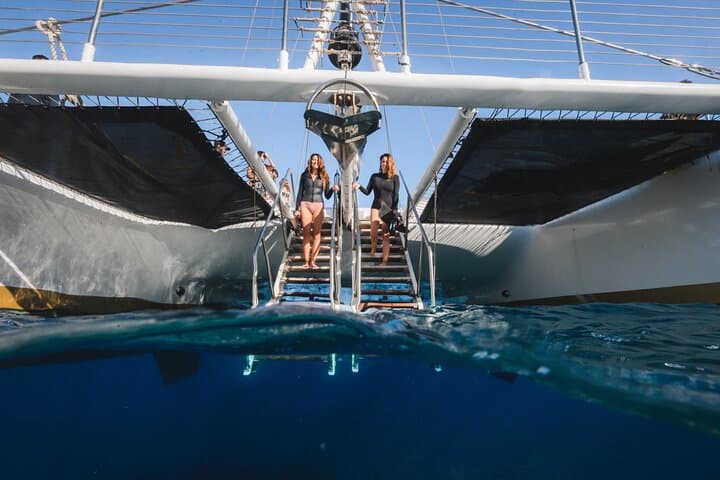 Turtles & Tacos: Maui Luxury Catamaran Snorkel and Taco Bar photo 4