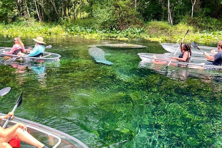 Clear Kayak Tours at Silver Springs: Glass-Bottom Kayaking Through Florida's Springs photo 3