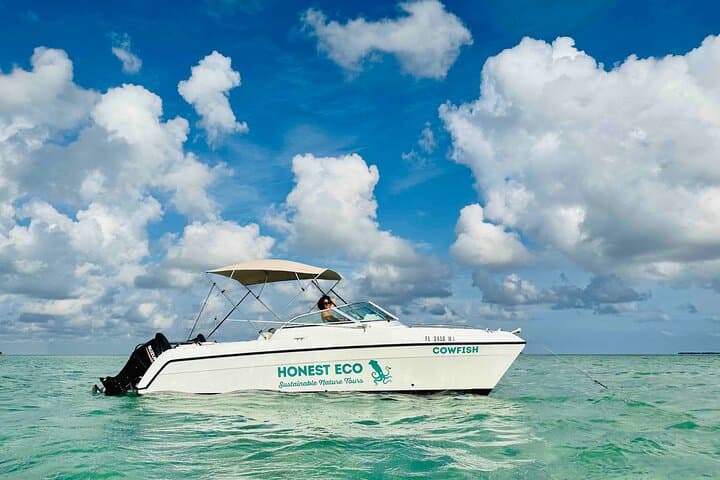 Private Key West Sandbar Charter: Snorkel, Dolphins & BYOB Day Trip photo 6