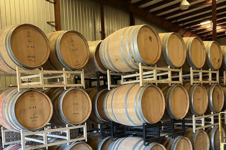 Currituck Sound Vineyard Boat Ride and Wine Tasting from Duck, NC photo 3