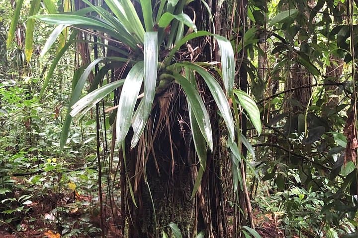Vermont Nature Trail Hike — Kingstown’s Bird-and-Plant Sanctuary photo 1