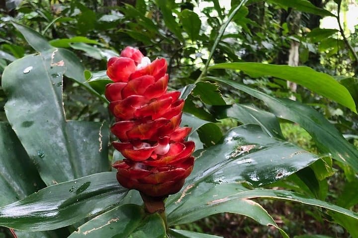 Vermont Nature Trail Hike — Kingstown’s Bird-and-Plant Sanctuary photo 3