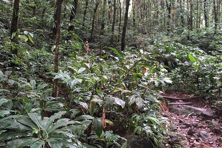 Vermont Nature Trail Hike — Kingstown’s Bird-and-Plant Sanctuary photo 4