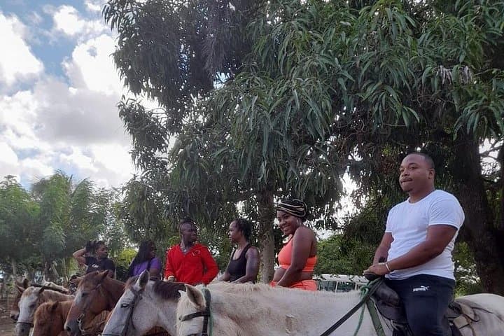 Experience Dominican Culture on a Safari Adventure in Punta Cana photo 3