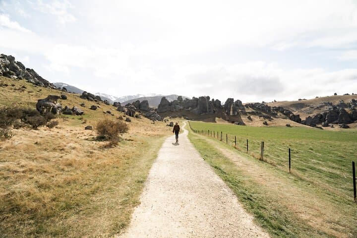 Christchurch to Franz Josef via Hokitika: West Coast One-Day Small-Group Journey photo 4