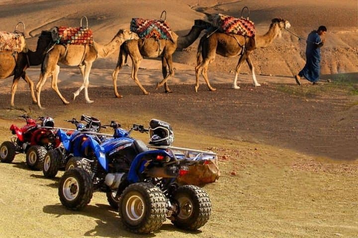 Quad Biking and Camel Ride in Marrakech’s Palmeraie: 2-Hour Oasis Adventure photo 4