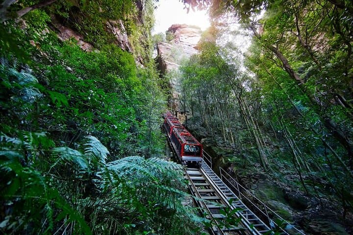 Private Blue Mountains Day Tour from Sydney — Custom Itinerary & Local Guide photo 2