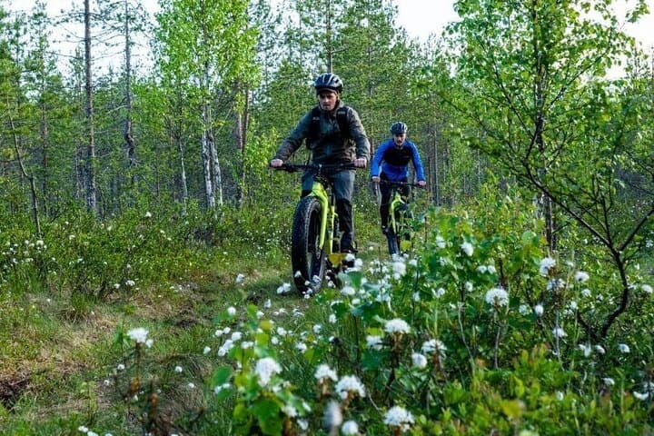 Electric Fat Biking in Banff: Bow River, Vermilion Lakes & Scenic Viewpoints photo 3