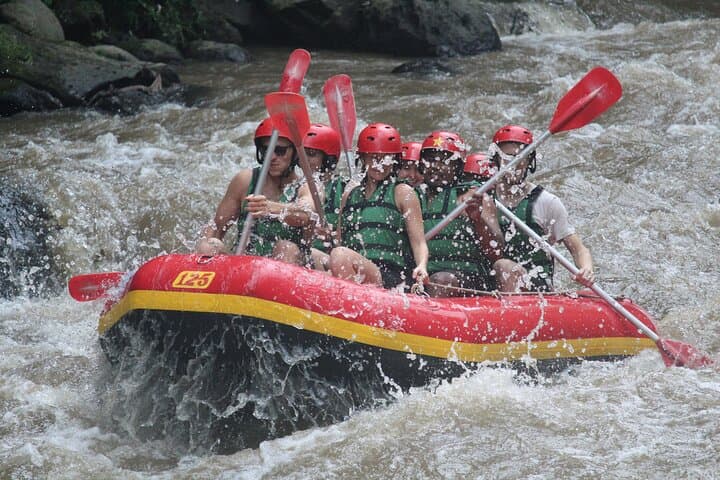 Ubud ATV and Ayung River Rafting Combo — Full-Day Adventure with Lunch photo 2