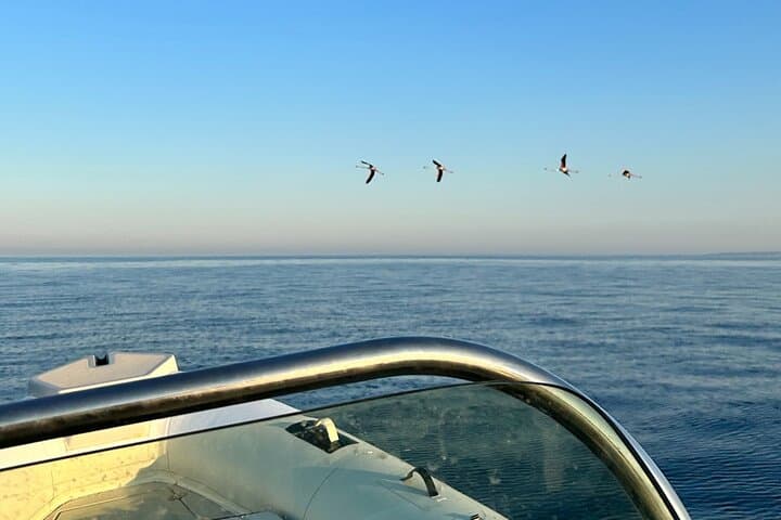 Sicily Boat Tour from Avola: Vendicari, Capopassero & Marzamemi Aperitif photo 4
