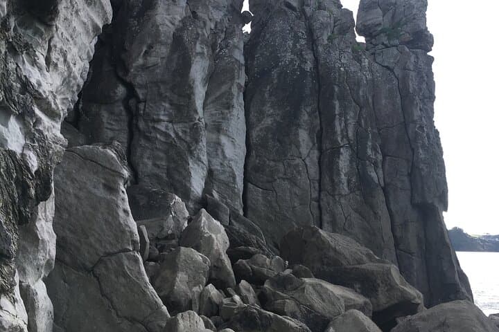 Coastal Rock Climbing at Ti Point — Full-Day Guided Cliffs near Auckland photo 5