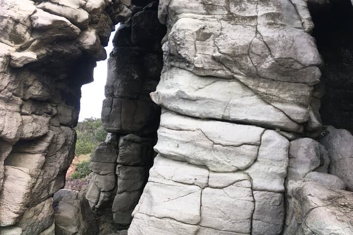 Coastal Rock Climbing at Ti Point — Full-Day Guided Cliffs near Auckland photo 3