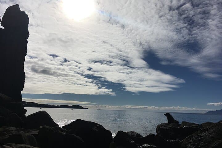 Coastal Rock Climbing at Ti Point — Full-Day Guided Cliffs near Auckland photo 4