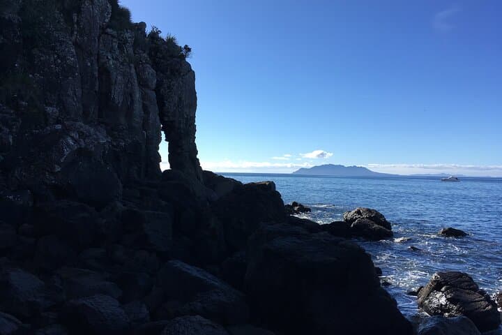 Coastal Rock Climbing at Ti Point — Full-Day Guided Cliffs near Auckland photo 2