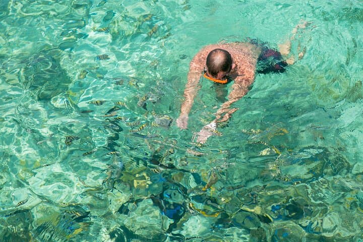 Rose Island Snorkel & Turtle Visit: Half-Day Nassau Getaway from Nassau photo 5