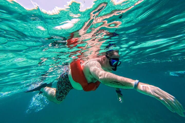 Rose Island Snorkel & Turtle Visit: Half-Day Nassau Getaway from Nassau photo 6