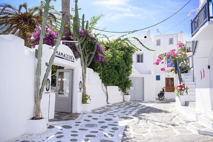 Private Mykonos Island Tour: Ano Mera & Mykonos Town Guided Experience photo 2