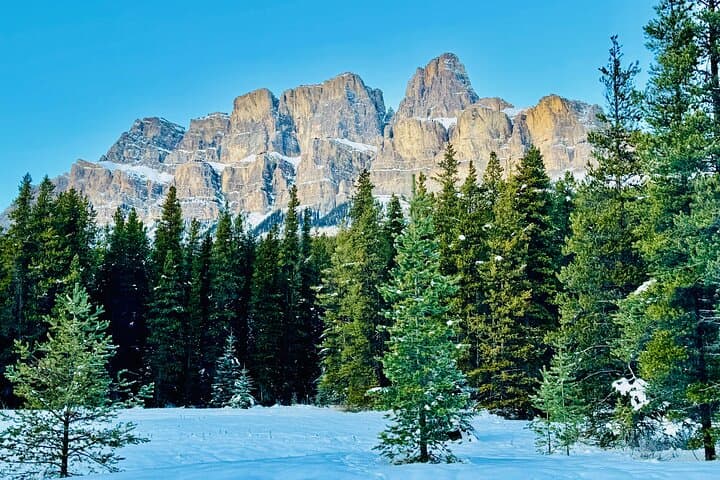Banff to Lake Louise & Moraine Lake Shuttle — 1-Hour Stops at Iconic Alpine Lakes photo 6