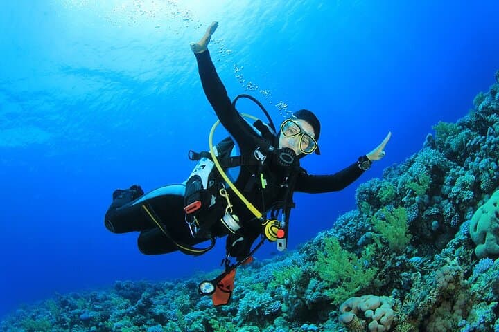 Red Sea Day Dives with Lunch: Two-Reef Exploration from Sharm El Sheikh photo 4