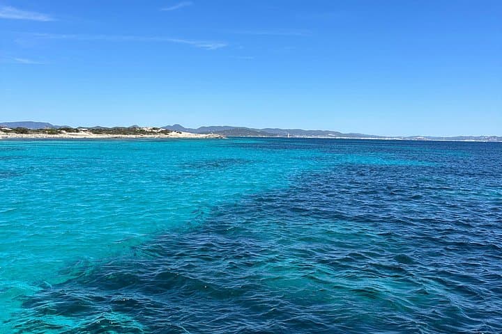 Full-Day Ibiza Boat Trip to Formentera — Swim, Snorkel & Paddleboard to Ses Illetes and Espalmador photo 3