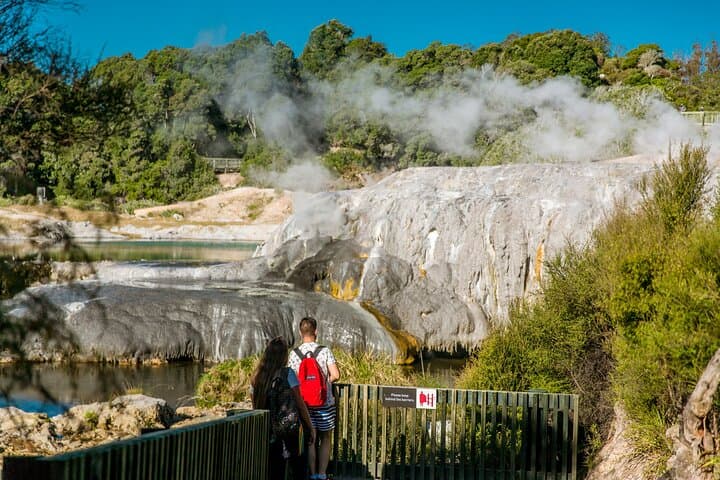 Rotorua Te Puia Day Tour from Auckland — Pohutu Geyser, Haka & Hangi Lunch photo 2