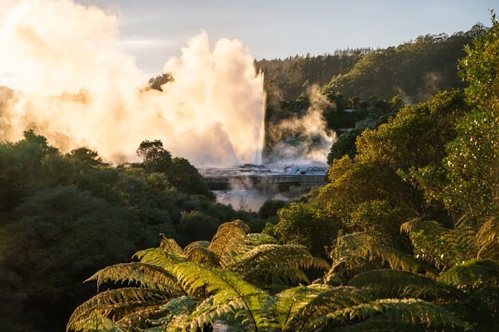 Rotorua Te Puia Day Tour from Auckland — Pohutu Geyser, Haka & Hangi Lunch photo 5