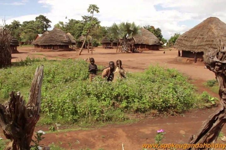 7-Day Uganda Big 5 Safari: Murchison, Kidepo & Sipi Falls Adventure photo 3