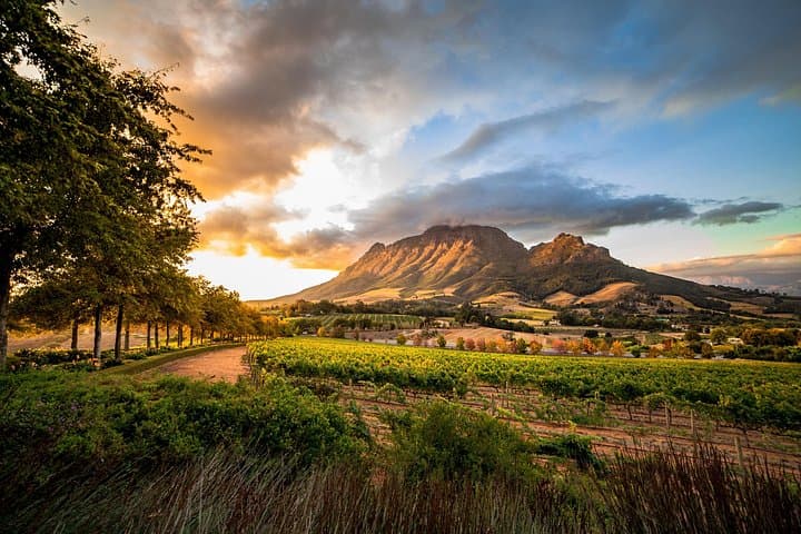 Cape Winelands Private Day Tour from Cape Town — E‑Bikes, Wine Farms & Franschhoek photo 1