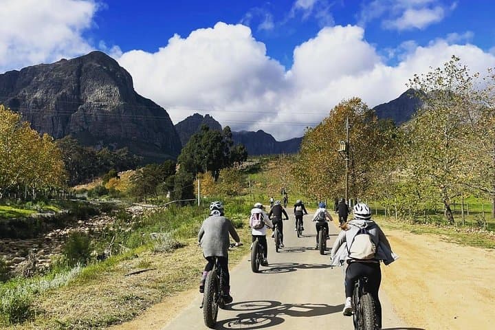 Cape Winelands Private Day Tour from Cape Town — E‑Bikes, Wine Farms & Franschhoek photo 3