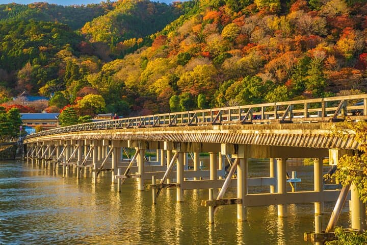 Arashiyama Bamboo Grove & Zen Gardens Private Walking Tour — Tenryu-ji to Okouchi Sanso photo 4
