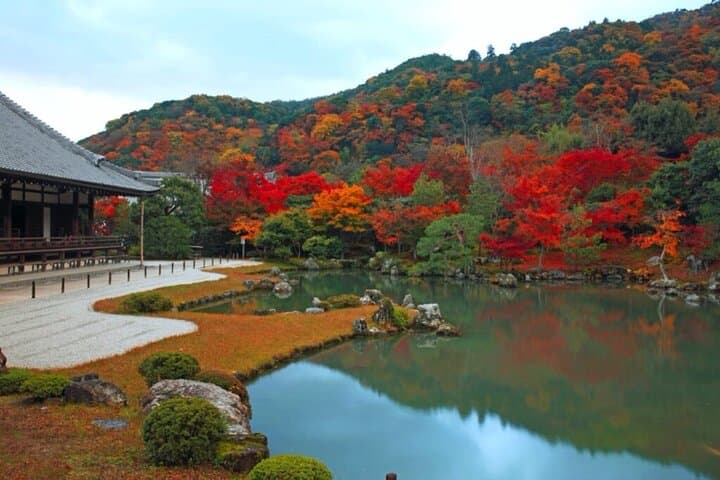 Arashiyama Bamboo Grove & Zen Gardens Private Walking Tour — Tenryu-ji to Okouchi Sanso photo 5
