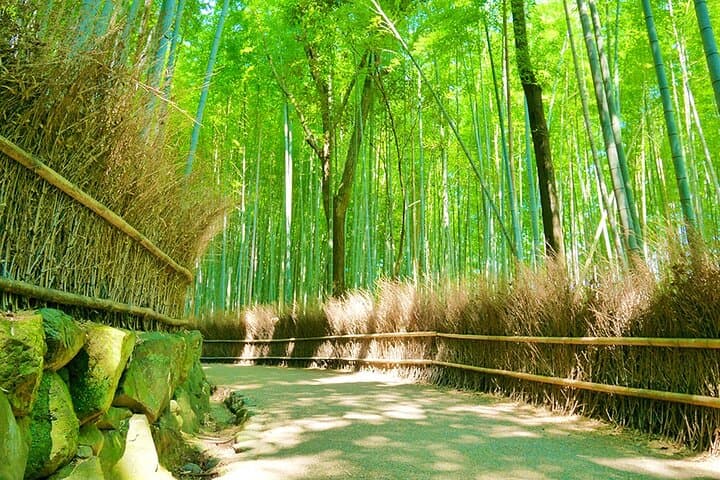 Arashiyama Bamboo Grove & Zen Gardens Private Walking Tour — Tenryu-ji to Okouchi Sanso photo 6