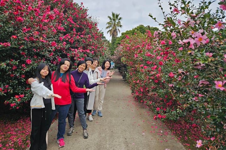 Explore Jeju Island with a Private Customized VAN Tour: East, West, or South Routes photo 6