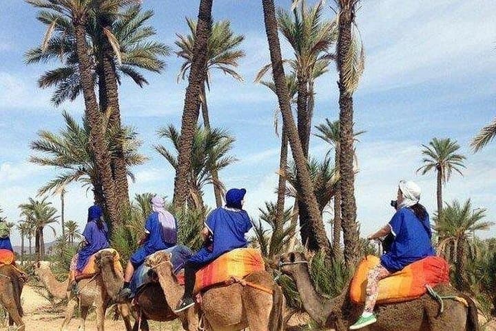 Quad Biking and Camel Ride in Marrakech’s Palmeraie: 2-Hour Oasis Adventure photo 5