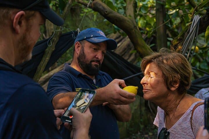 Sorrento Ape Tour: Lemon Grove, Mozzarella Show & Pizza Class photo 5