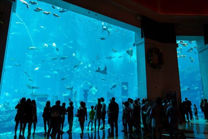 Explore the Lost Chambers Aquarium at Atlantis The Palm — Dubai E‑Ticket photo 6