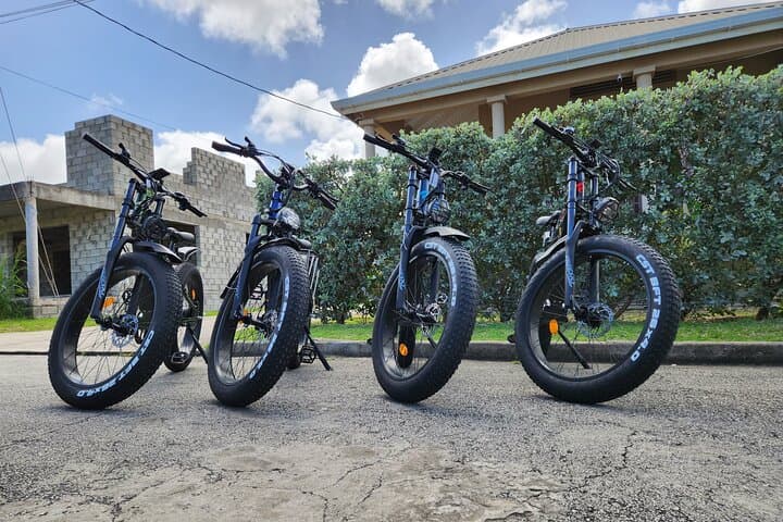 Explore Barbados by Ebike: 24-Hour Day Rental Guide photo 3