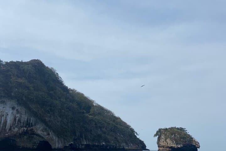 High-Speed Private Jet Ski Adventure on Banderas Bay, Puerto Vallarta photo 3