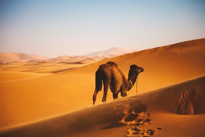 Private 3-Day Oman Roundtrip: Wadi Shab, Wahiba Sands & Jebel Akhdar