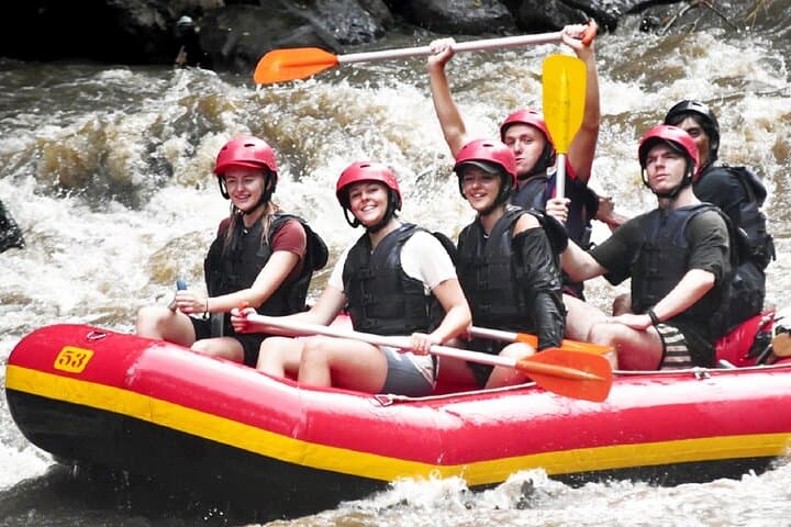 Ayung River Rafting in Ubud: Whitewater Adventure Through Bali Jungle photo 3