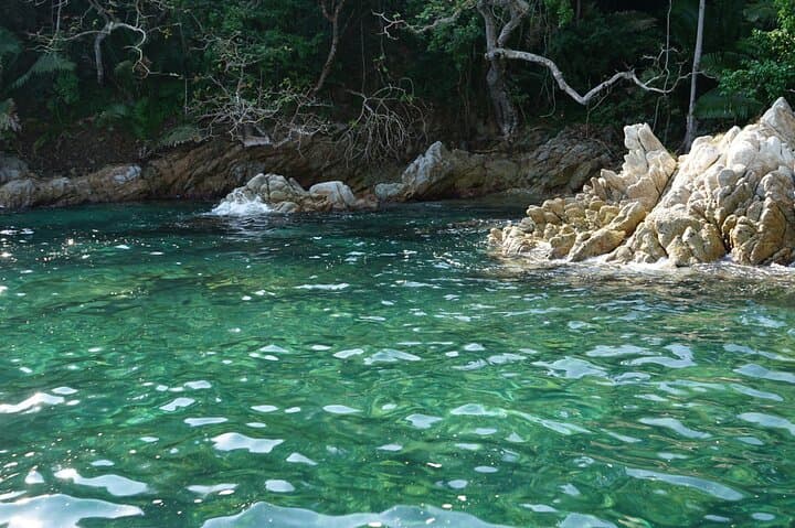 Snorkeling Puerto Vallarta: Private Half-Day to Animas, Colomitos & Los Arcos photo 6