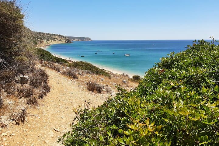 Coast Tour of Costa Vicentina: Southwest Portugal Day Trip from the Algarve