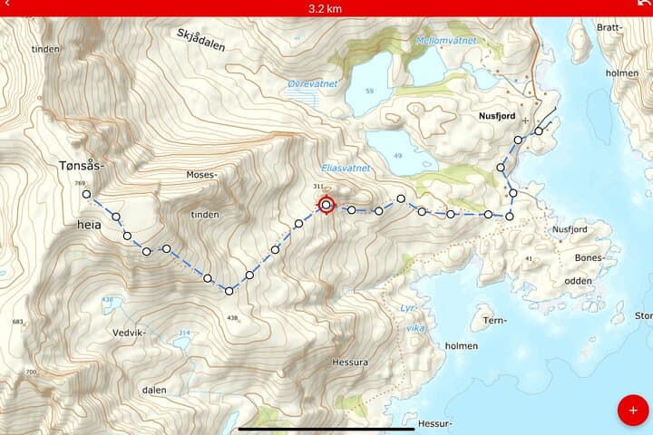 Private Boat Sightseeing and Mountain Hike in Lofoten (Leknes) photo 3
