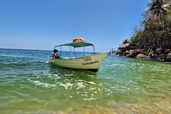 Puerto Vallarta Whale Watching and Snorkeling at Colomitos and Los Arcos photo 3
