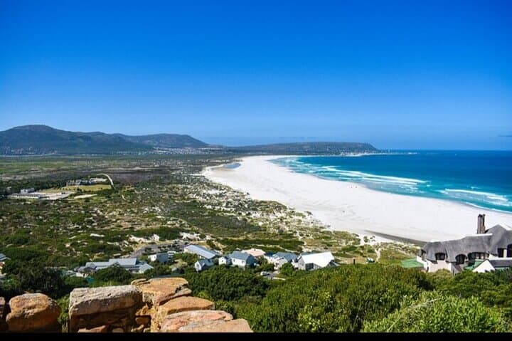 Cape Peninsula Private Tour: Table Mountain, Cape Point & Boulders Penguin Colony