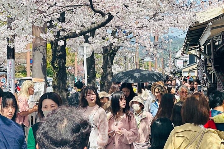 Private Kyoto Customized English Tour with Hotel Pickup — Full-Day Cultural Drive photo 3