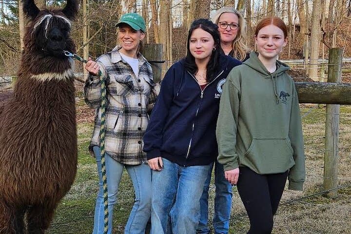 Alpaca and Llama Encounter at Jenny Jump: Guided Walk & Meet-and-Greet photo 6